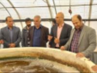 بازدید مدیر کل دیوان محاسبات استان یزد از مرکز تحقیقات ملی آبزیان آب های شور
