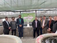 برگزاری روز مزرعه تکثیر ماهی تیلاپیا