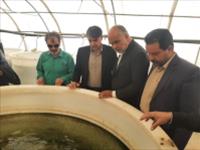 بازدید نماینده محترم مجلس، به همراه فرماندار و شورای اسلامی شهر بافق