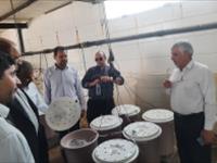 بازدید رئیس سازمان جهاد کشاورزی استان یزد از مرکز تحقیقات ملی آبزیان آب‌های شور