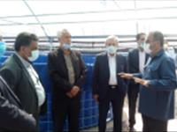 افتتاح فاز نخست بزرگترین سایت تکثیر و پرورش ماهی تیلاپیا در ایران