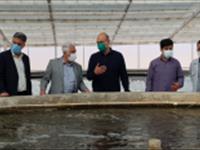 بازدید رئیس سازمان جهاد کشاورزی استان از مرکز تحقیقات ملی آبزیان آب های شور