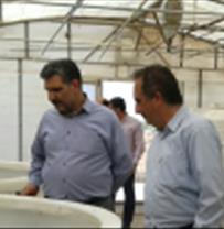 رییس سازمان جهاد کشاورزی استان یزد از مرکز تحقیقات ملی آبزیان آبهای شور بازدید کرد.